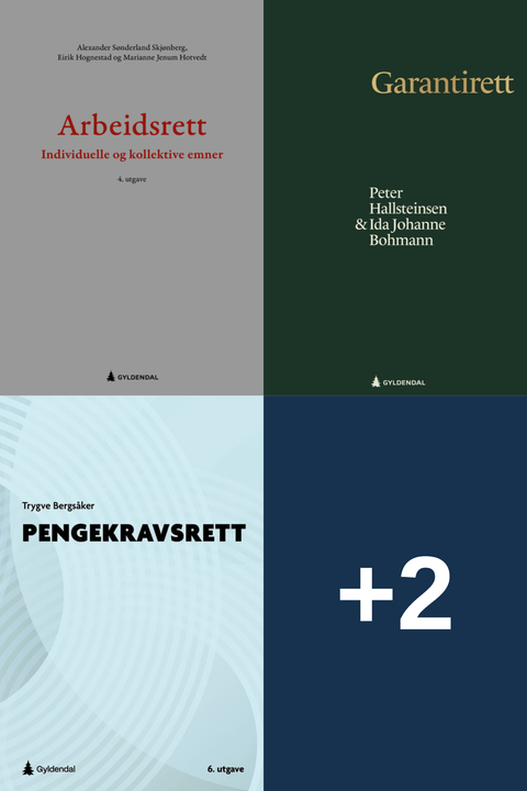 Bokpakke BI Rettsvitenskap 4. semester – Arbeidsrett, Garantirett, Pengekravsrett, og to bøker til