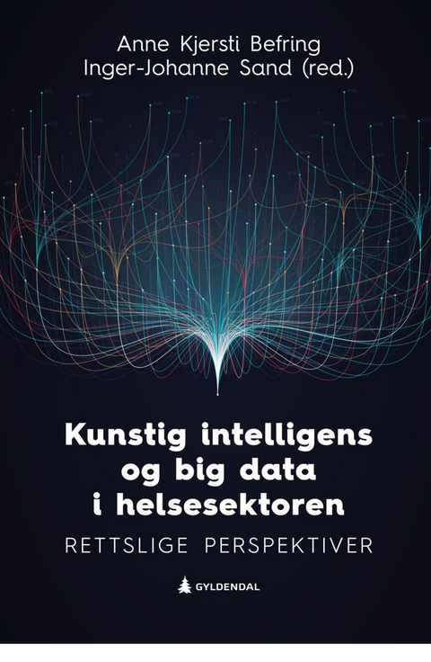 Kunstig intelligens og big data i helsesektoren - rettslige perspektiver