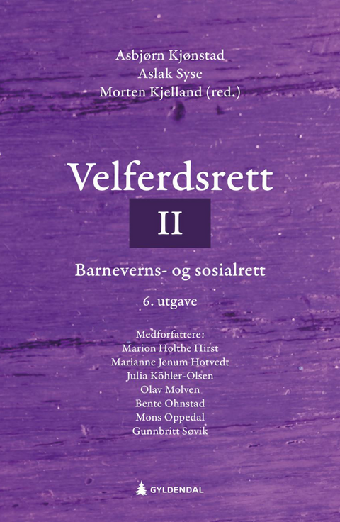 Velferdsrett II - barneverns- og sosialrett